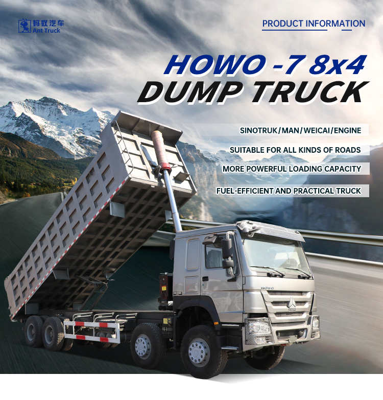 阿里巴巴-自卸-8X4-HOWO-7-拷贝_01.jpg