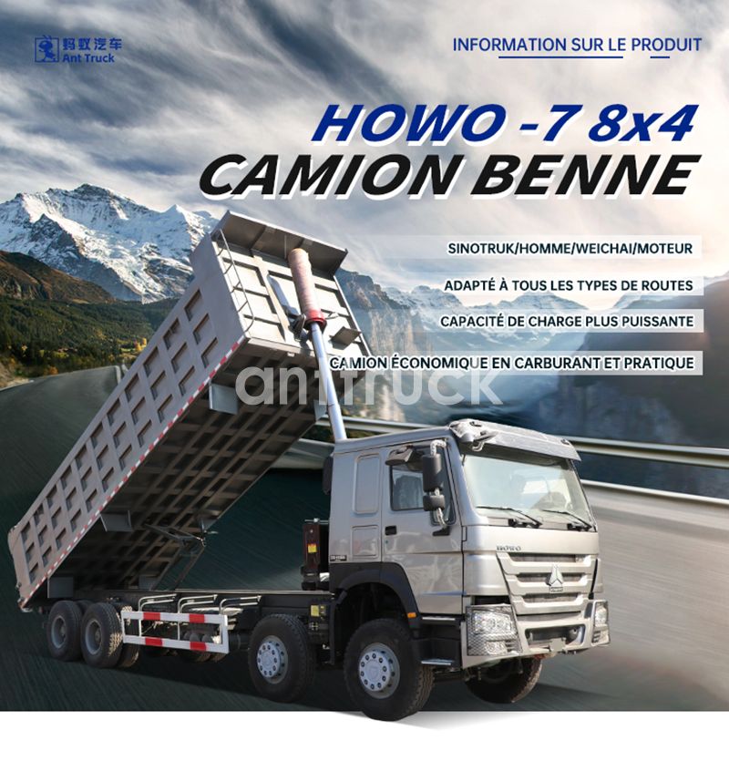 阿里巴巴-自卸-8X4-HOWO-7-拷贝_01.jpg