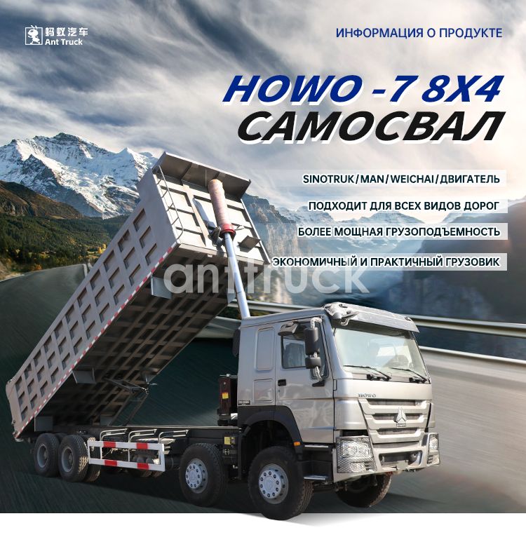 阿里巴巴-自卸-8X4-HOWO-7-拷贝_01.jpg