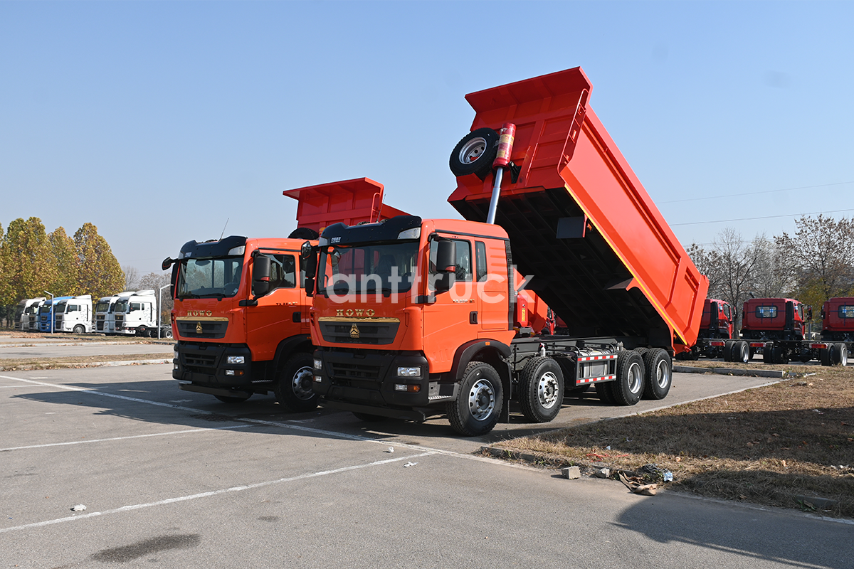 The HOWO-TX 8X4 Dump Truc