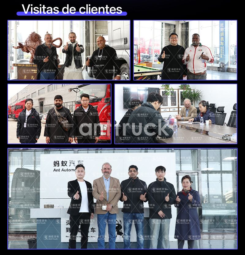 Camión Volquete Sinotruk HOWO NX 8X4 Usado